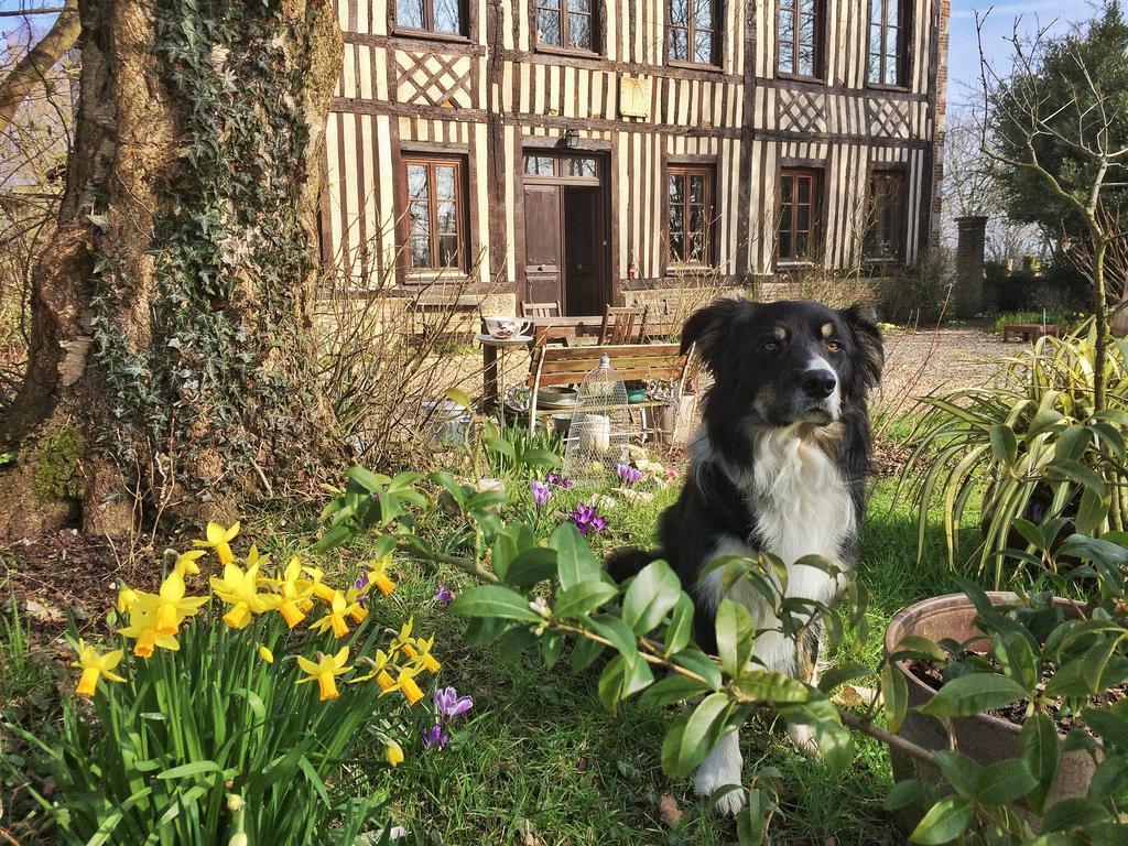 Le Petit Manoir De La Vernelle Bed & Breakfast Fourmetot Eksteriør bilde